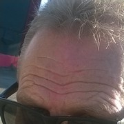  ,   Fox, 59 ,     , c 