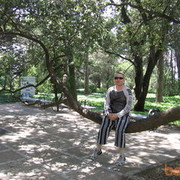 ���������� ������, ���� ������� ���������, 44 ����, ������������ ��� ����� � ���������, c�������� ���������, ���������