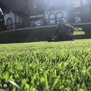 ���������� ����, ���� ������� Petrina, 29 ���, ������������ ��� ������, ����� � ���������