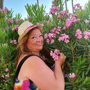  -,   , 54 ,   ,   