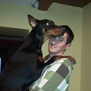 ���������� Izop, ���� ������� Tibor, 36 ���, ������������ ��� ����� � ���������, c�������� ���������, ���������