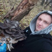  ,   , 29 ,     , c , 