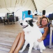 ���������� ����, ���� ������� Tata, 40 ���, ������������ 