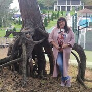  ,   , 44 ,   ,   