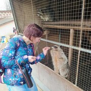 ���������� ������, ���� ������� ����, 39 ���, ������������ ��� ������, ����� � ���������