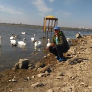 ���������� ����, ���� ������� ������, 43 ����, ������������ ��� ������, ����� � ���������, c�������� ���������