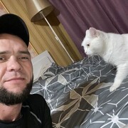  ,   , 40 ,   ,   , 