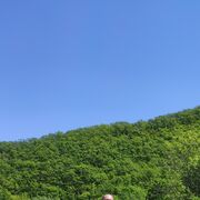 ���������� ���������, ���� ������� �����, 42 ����, ������������ ��� ������, ����� � ���������, c�������� ���������