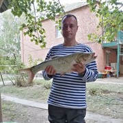  ,   , 49 ,   c 