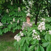 ���������� ����, ���� ������� ������, 69 ���, ������������ ��� c�������� ���������, ���������