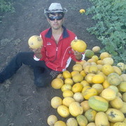 ���������� ��������, ���� ������� Odiljon, 36 ���, ������������ ��� ������, ����� � ���������, c�������� ���������