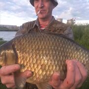 ���������� �����-���������, ���� ������� ������, 48 ���, ������������ ��� c�������� ���������