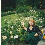 ���������� �������, ���� ������� ������, 56 ���, ������������ 