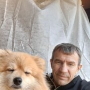 ���������� ����������, ���� ������� ������, 50 ���, ������������ ��� ������, ����� � ���������, c�������� ���������