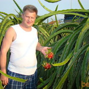  ,   Kolotun, 54 ,     , c 