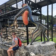 ���������� ��������, ���� ������� �������, 40 ���, ������������ ��� ������, ����� � ���������, c�������� ���������