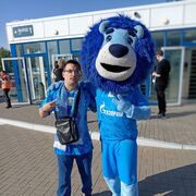 ���������� ���������, ���� ������� ������, 34 ����, ������������ ��� ������, ����� � ���������, c�������� ���������, ���������