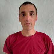 ���������� �����������, ���� ������� ���������, 37 ���, ������������ ��� ������, ����� � ���������