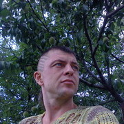  ,   , 81 ,     , c 