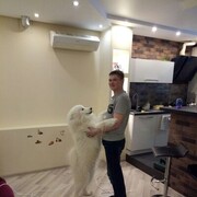 ���������� ������, ���� ������� �������, 34 ����, ������������ ��� ������, ����� � ���������, c�������� ���������