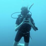 ���������� ������, ���� ������� �������, 42 ����, ������������ ��� ����� � ���������, c�������� ���������