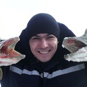 ���������� ������, ���� ������� ��������, 36 ���, ������������ ��� ������, ����� � ���������, c�������� ���������