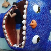 ���������� ������ ���, ���� ������� Max Max, 31 ���, ������������ 