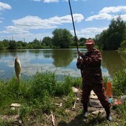 ���������� �����, ���� ������� ����, 62 ����, ������������ ��� ������, ����� � ���������, c�������� ���������