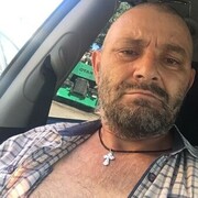  --,   , 49 ,   ,   , 