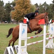 ���������� ������, ���� ������� ����, 36 ���, ������������ ��� ������, ����� � ���������, c�������� ���������