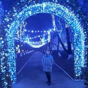  ,   , 60 ,   ,   , c 
