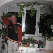  ,   , 44 ,   