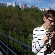 ���������� �����, ���� ������� Denis, 38 ���, ������������ ��� ������, ����� � ���������, c�������� ���������