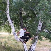 ���������� ������, ���� ������� �����, 53 ����, ������������ ��� ������, ����� � ���������, c�������� ���������