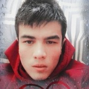  -,   Wolf, 25 ,   ,   , c , 