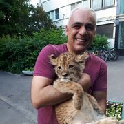 ���������� ������������, ������� ����, 51