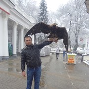  ,   , 41 ,   ,   , c , 
