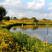 ���������� ����, ���� ������� �����, 39 ���, ������������ 