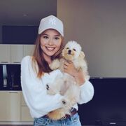 ���������� �����, �����