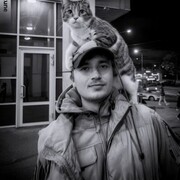 ���������� �����-���������, ���� ������� ����, 33 ����, ������������ ��� ������, ����� � ���������