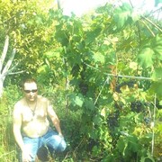 ���������� ���������, ���� ������� �����, 51 ���, ������������ ��� ������, ����� � ���������, c�������� ���������