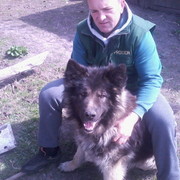 ���������� �����, ���� ������� ����, 44 ����, ������������ ��� ����� � ���������, c�������� ���������