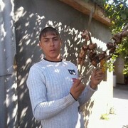  ,   , 37 ,     , c , 