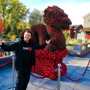 ���������� ���������, ���� ������� �������, 29 ���, ������������ ��� ������, ����� � ���������