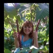  ,   , 32 ,   c 
