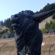  ,   , 59 ,     , c 