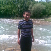  ,   Lion, 43 ,  