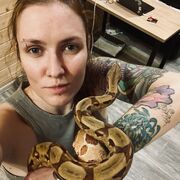 ���������� ������, ����