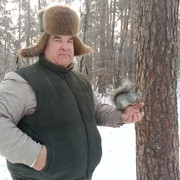 ���������� ���������, ���� ������� ������, 71 ���, ������������ ��� ������