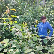  ,   , 67 ,     , c , 